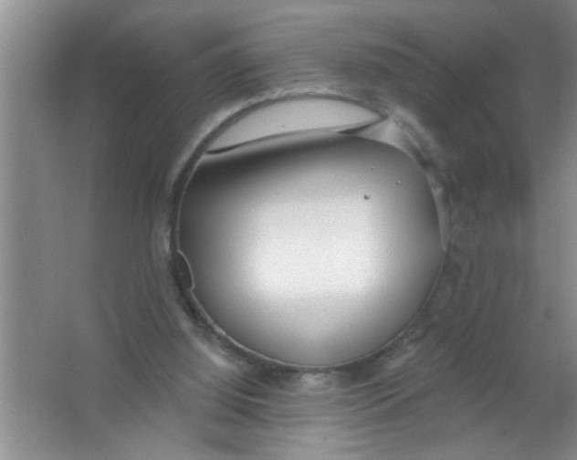 X0000063490060200602101844