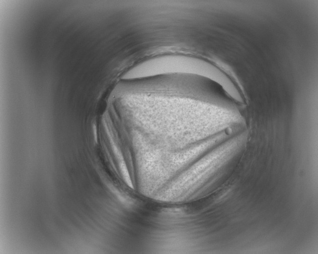 X0000063490061200602101844