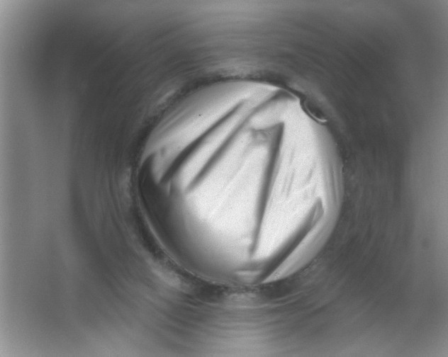 X0000063490066200602101844