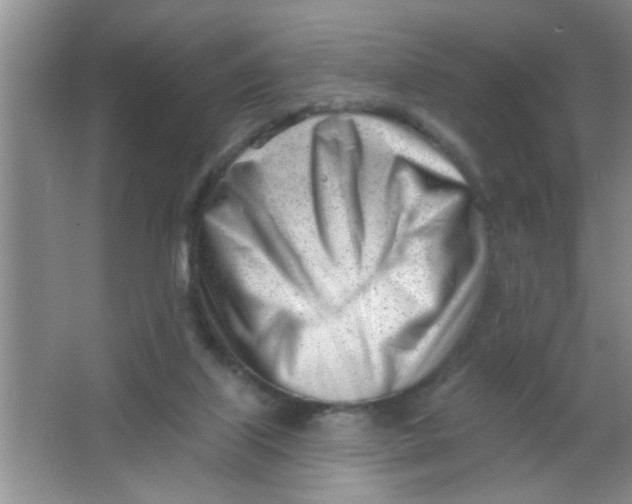 X0000063490067200602101844