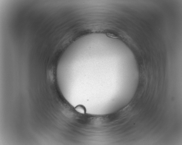 X0000063490074200602101844