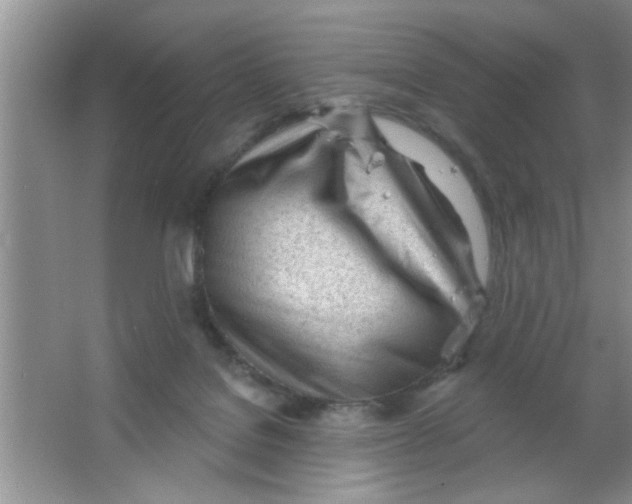 X0000063490076200602101844