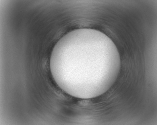 X0000063490079200602101844