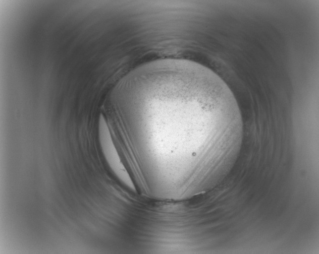 X0000063490081200602101844