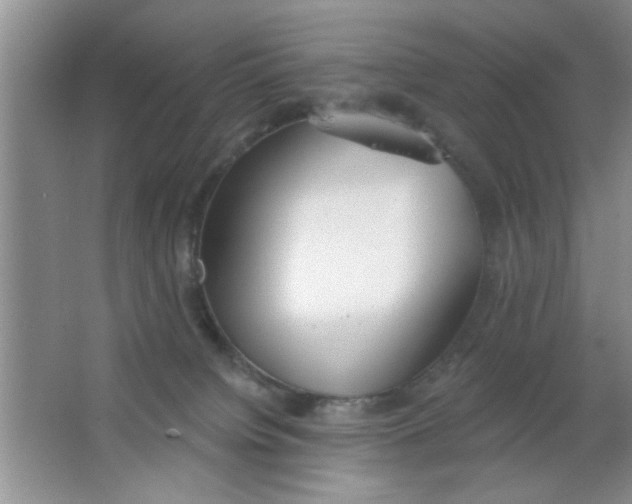 X0000063490084200602101844