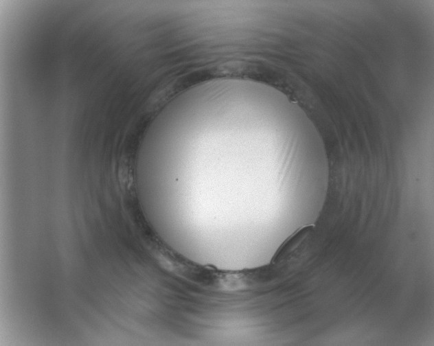 X0000063490091200602101844