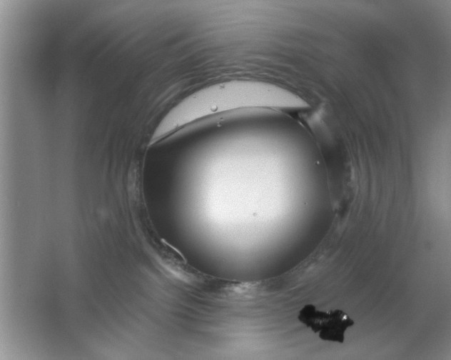 X0000063490092200602101844