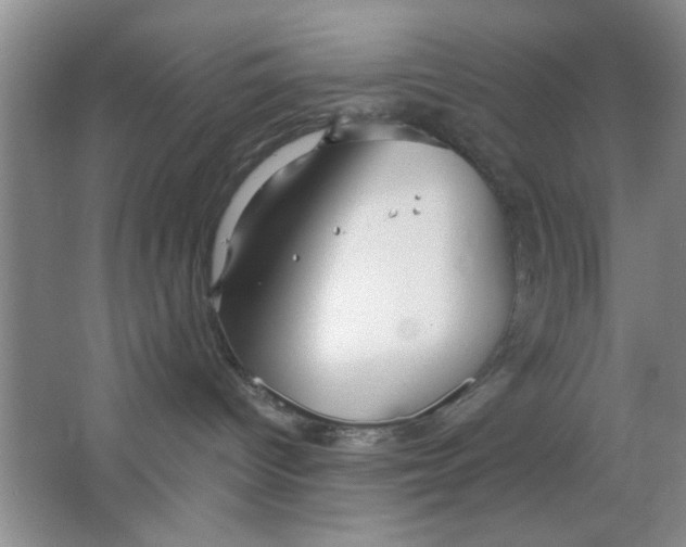 X0000063490096200602101844