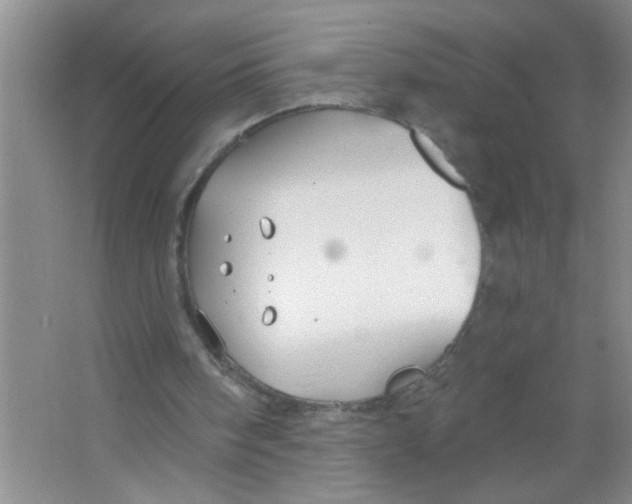 X0000063490098200602101844