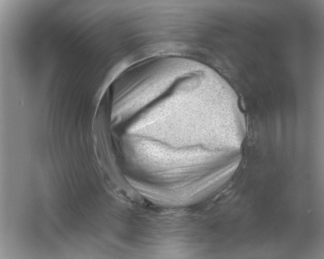 X0000063490099200602101844