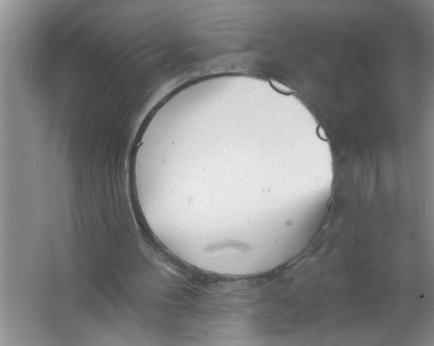 X0000063490100200602101843