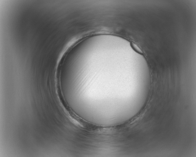 X0000063490102200602101843