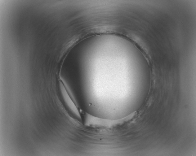 X0000063490105200602101843