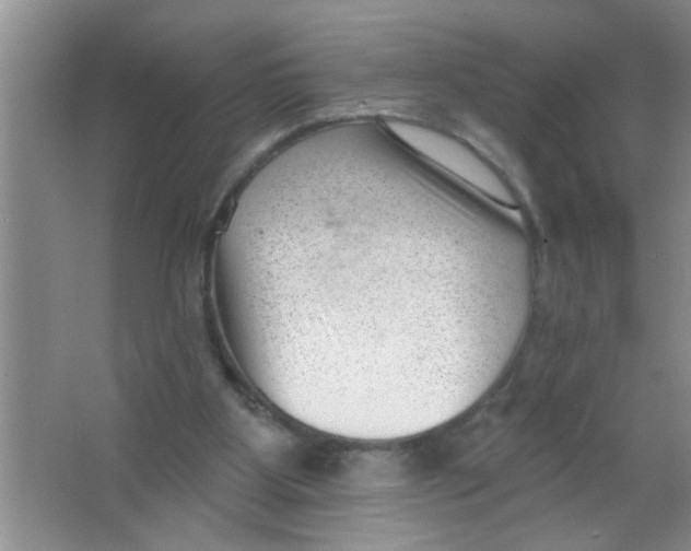 X0000063490107200602101843