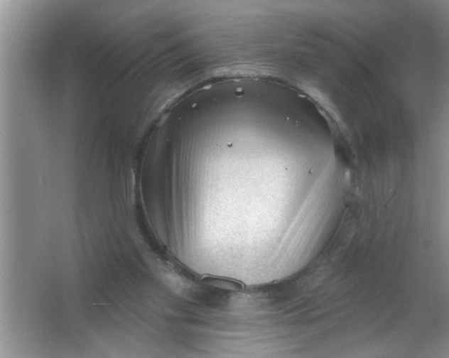 X0000063490109200602101843