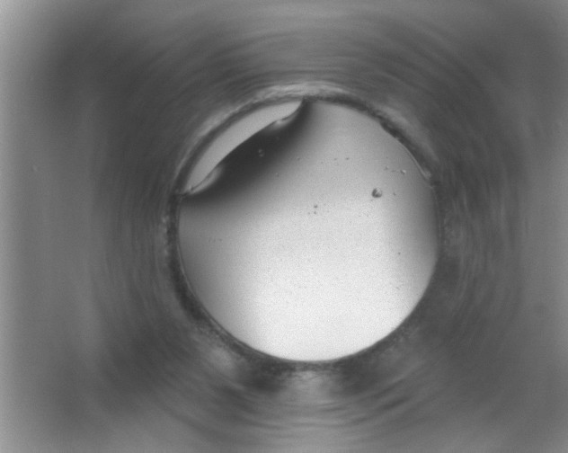 X0000063490111200602101843