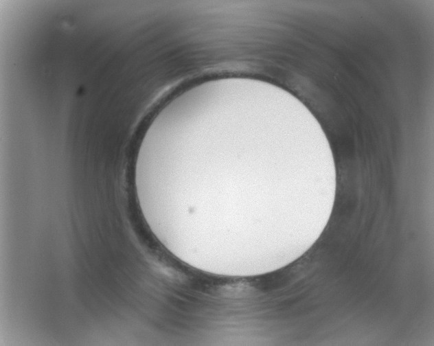 X0000063490112200602101843