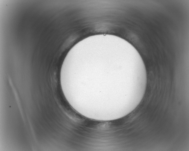 X0000063490116200602101843