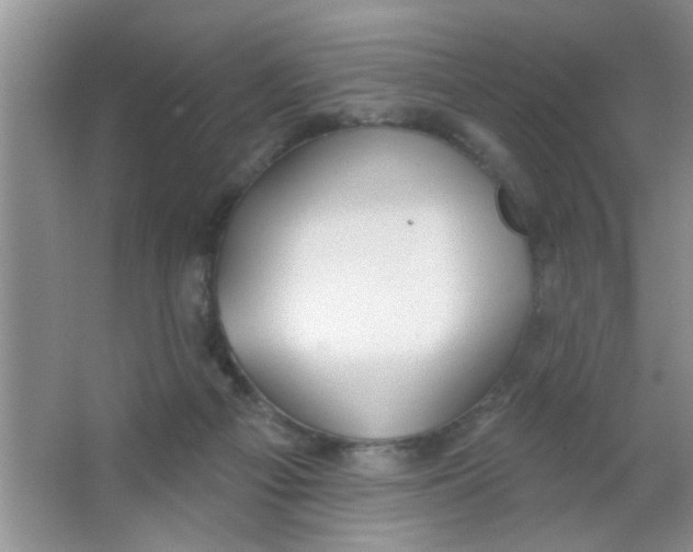 X0000063490121200602101843