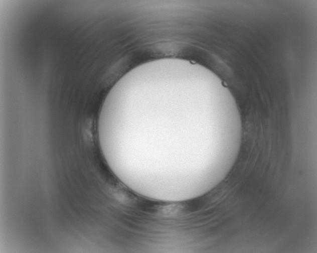 X0000063490122200602101843