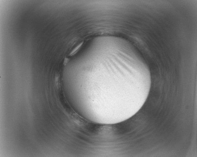 X0000063490123200602101843