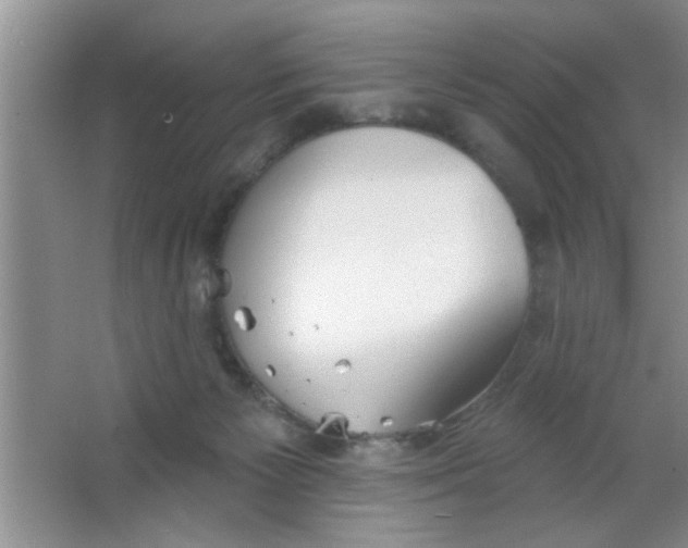 X0000063490125200602101843