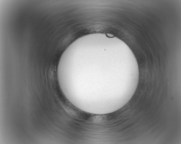 X0000063490126200602101843