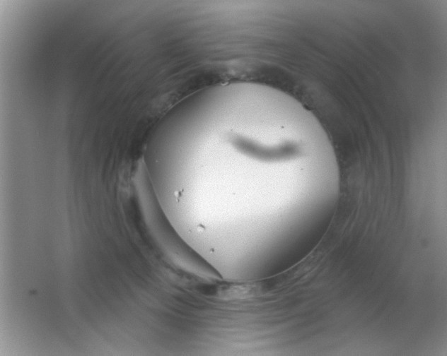 X0000063490129200602101843