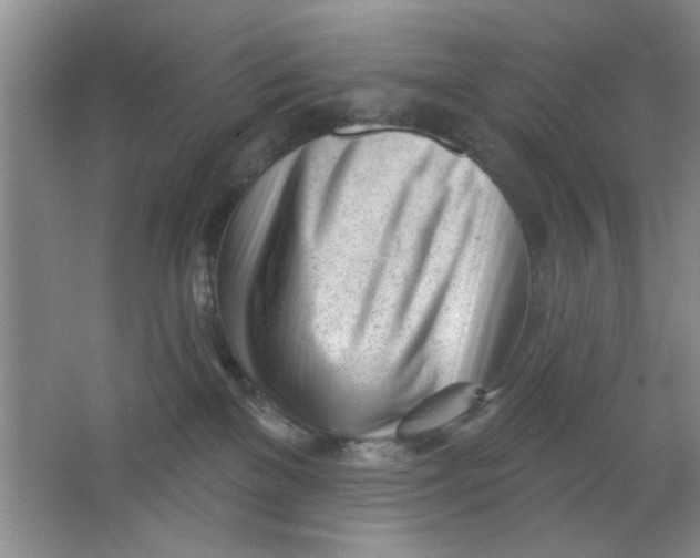 X0000063490137200602101843