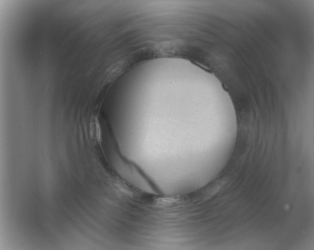 X0000063490139200602101843