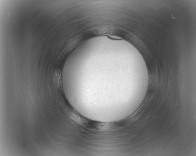 X0000063490142200602101843