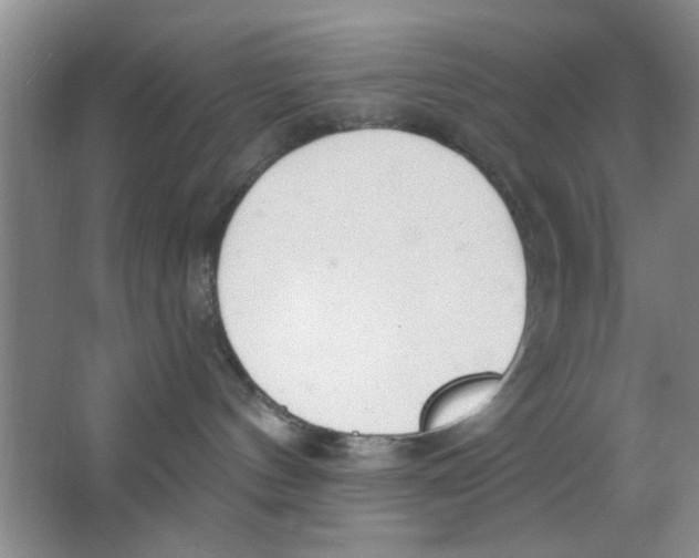 X0000063490144200602101843