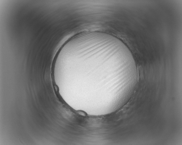 X0000063490147200602101842