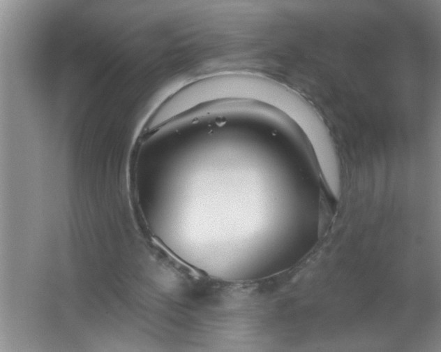 X0000063490148200602101842