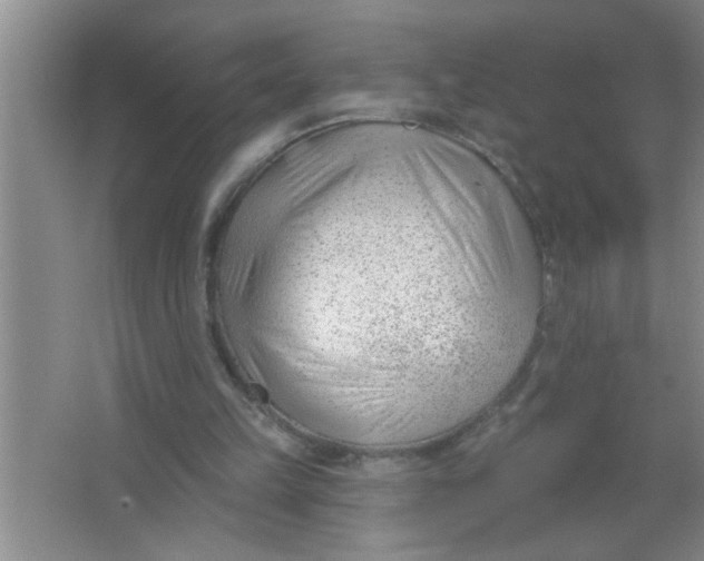 X0000063490149200602101842