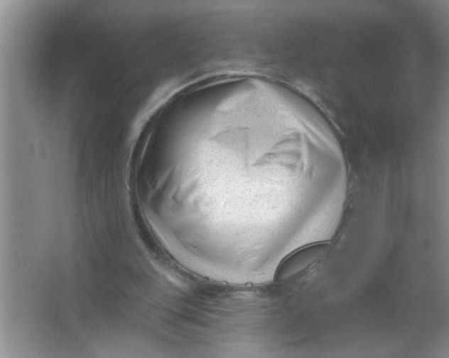 X0000063490151200602101842