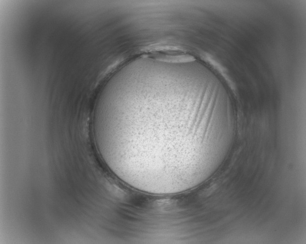 X0000063490153200602101842