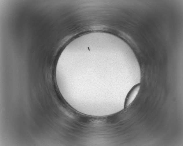 X0000063490155200602101842