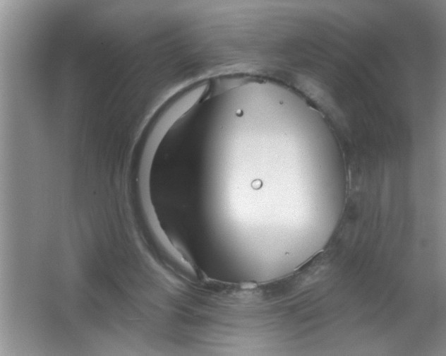 X0000063490156200602101842