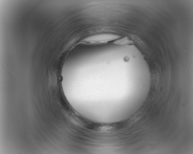 X0000063490158200602101842