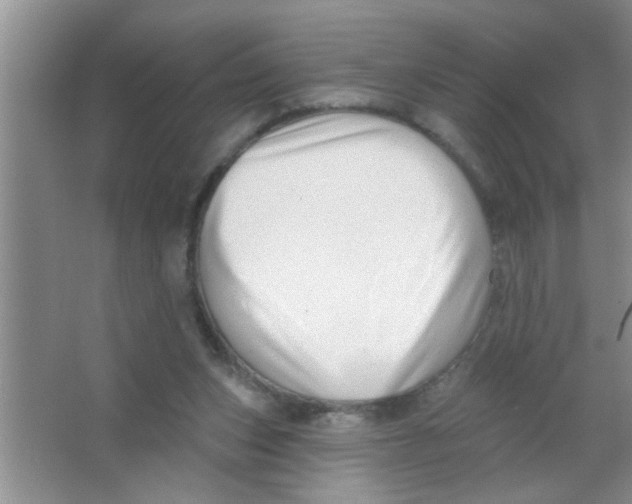 X0000063490159200602101842