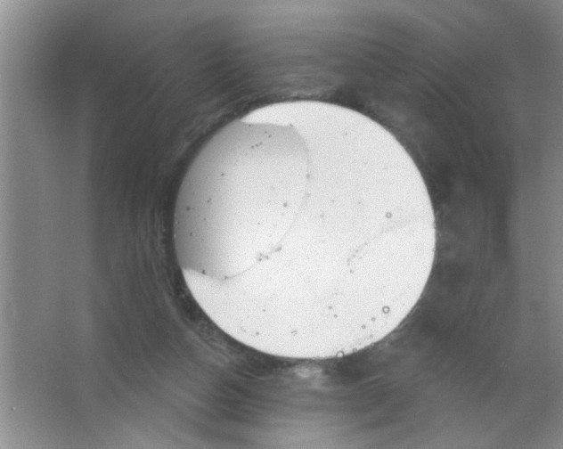 X0000063490162200602101842