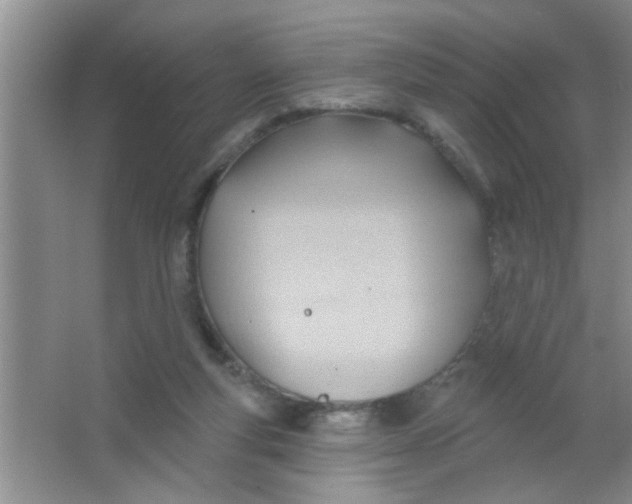 X0000063490163200602101842