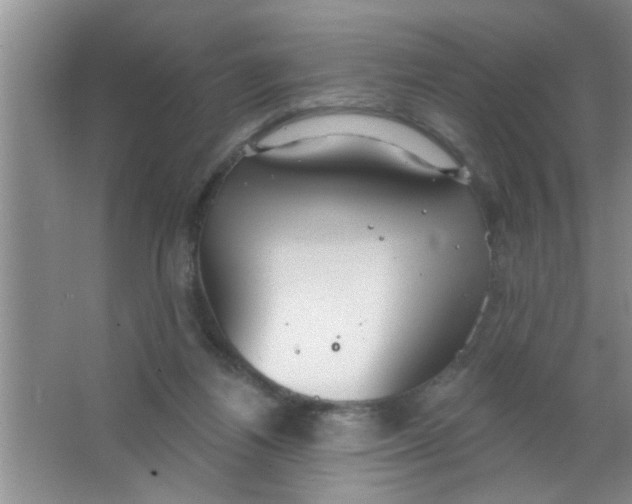 X0000063490164200602101842