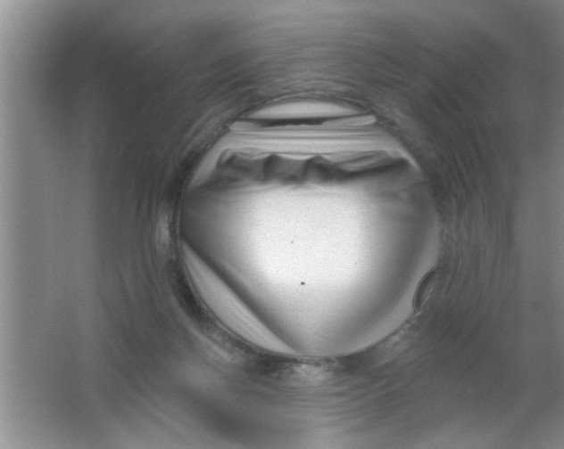 X0000063490166200602101842