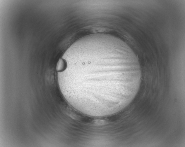 X0000063490169200602101842