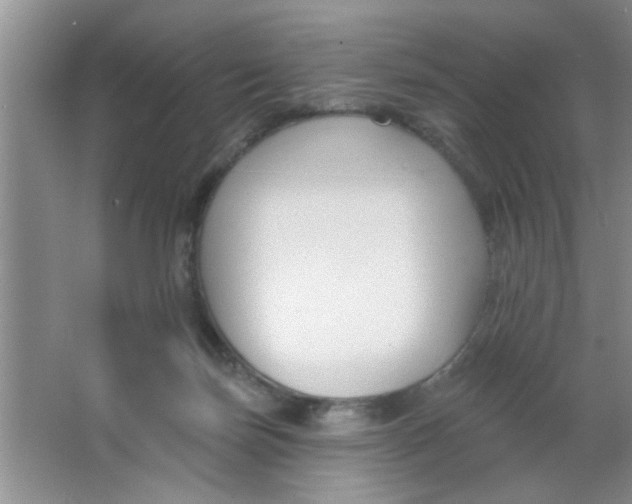 X0000063490171200602101842