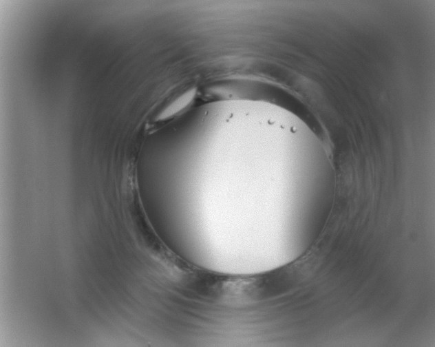 X0000063490172200602101842