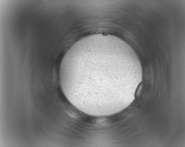 X0000063490173200602101842