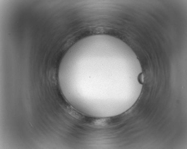 X0000063490178200602101842